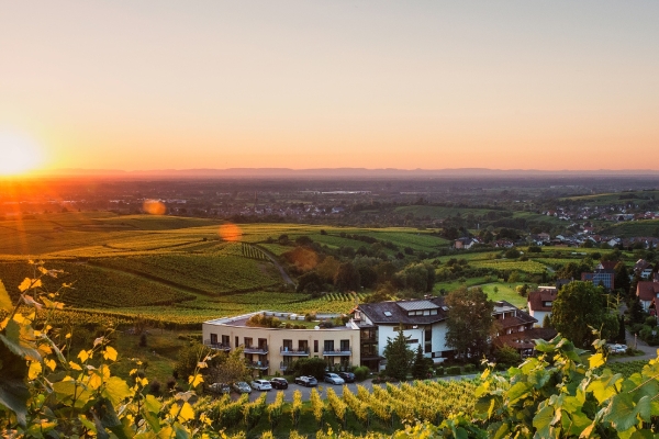 Hotel Rebenhof (Baden-Baden)